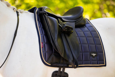 Archivio n.55 Dressage - Classic carré | 1902 Archivio n.55 Dressage - Classic carré | 1902