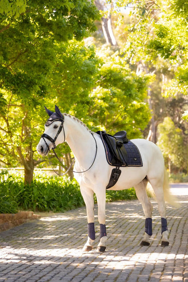 Buy LeMieux Loire Classic Dressage Square Dusk Blue | Online for Equine