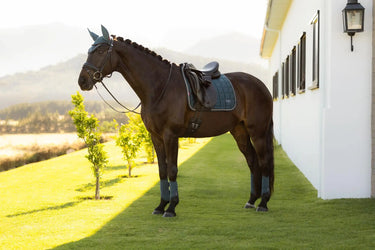 LeMieux Loire Classic Dressage Square Jungle| Online For Equine