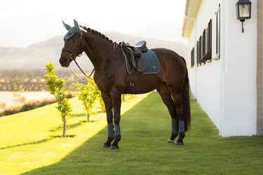 LeMieux Loire Classic Dressage Square Jungle| Online For Equine
