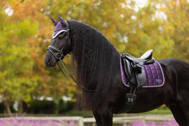 LeMieux Loire Classic Dressage Square Juniper| Online For Equine
