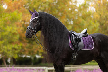 LeMieux Loire Classic Dressage Square Juniper| Online For Equine