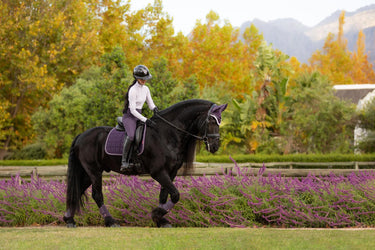 LeMieux Loire Classic Dressage Square Juniper| Online For Equine