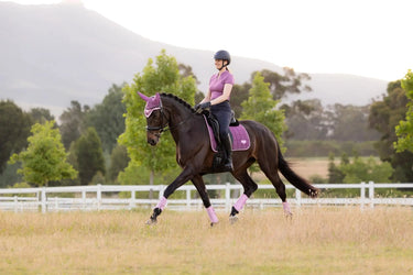 LeMieux Loire Classic Dressage Square Mallow| Online For Equine