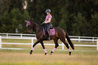 LeMieux Loire Classic Dressage Square Mallow| Online For Equine