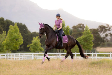 LeMieux Loire Classic Dressage Square Mallow| Online For Equine