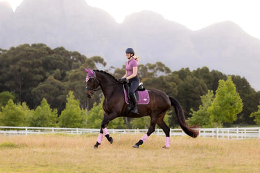 LeMieux Loire Classic Dressage Square Mallow| Online For Equine