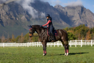 LeMieux Loire Classic Dressage Square Navy/Cranberry| Online For Equine