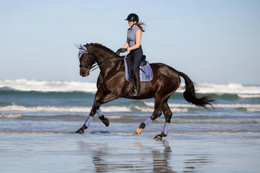 LeMieux Loire Classic Dressage Square Powder Blue| Online For Equine
