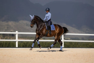 LeMieux Loire Classic Dressage Square Powder Blue| Online For Equine