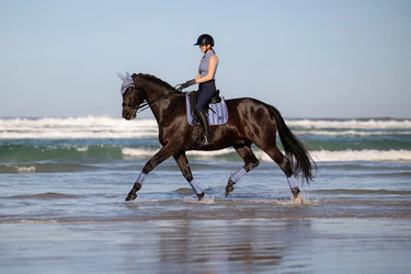 LeMieux Loire Classic Dressage Square Powder Blue| Online For Equine