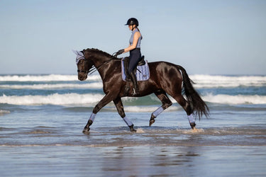 LeMieux Loire Classic Dressage Square Powder Blue| Online For Equine