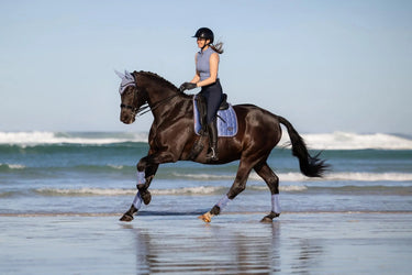 LeMieux Loire Classic Dressage Square Powder Blue| Online For Equine