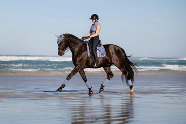 LeMieux Loire Classic Dressage Square Powder Blue| Online For Equine