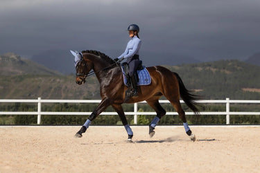 LeMieux Loire Classic Dressage Square Powder Blue| Online For Equine