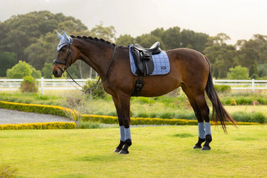 LeMieux Loire Classic Dressage Square Powder Blue| Online For Equine