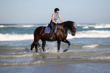 LeMieux Loire Classic Dressage Square Powder Blue| Online For Equine
