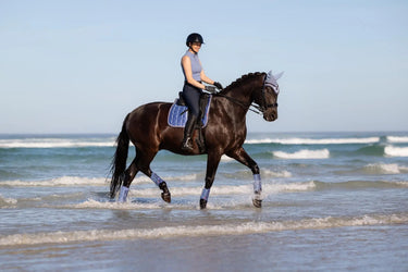 LeMieux Loire Classic Dressage Square Powder Blue| Online For Equine