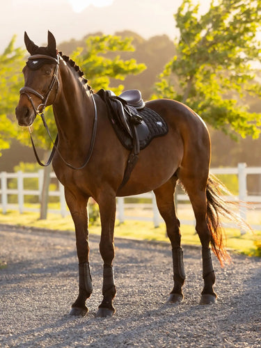 LeMieux Loire Classic GP Square Black| Online For Equine