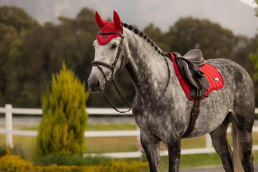 LeMieux Loire Classic GP Square Chilli| Online For Equine