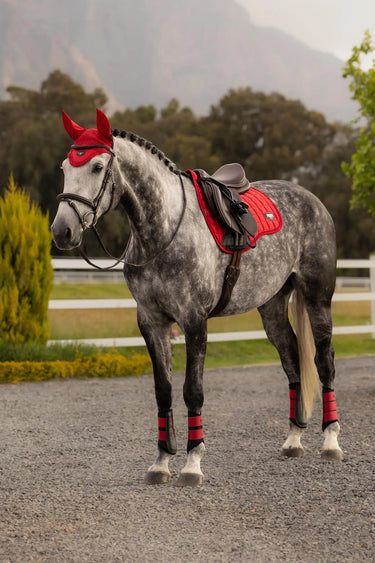 LeMieux Loire Classic GP Square Chilli| Online For Equine