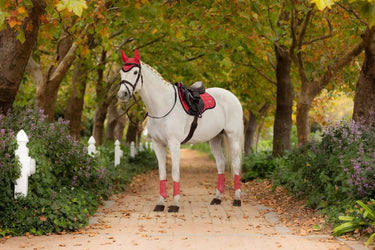 LeMieux Loire Classic GP Square Cranberry| Online For Equine