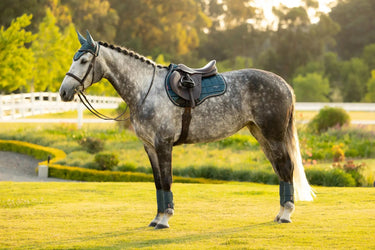 LeMieux Loire Classic GP Square Jungle| Online For Equine