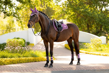LeMieux Loire Classic GP Square Mallow| Online For Equine