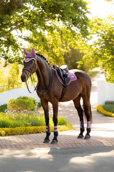 LeMieux Loire Classic GP Square Mallow| Online For Equine