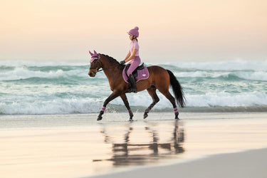 LeMieux Loire Classic GP Square Mallow| Online For Equine