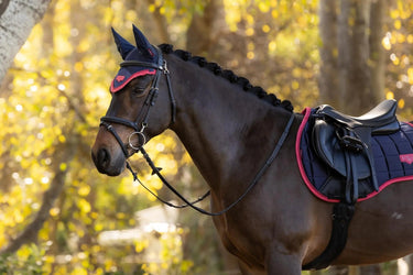 LeMieux Loire Classic GP Square Navy/Cranberry