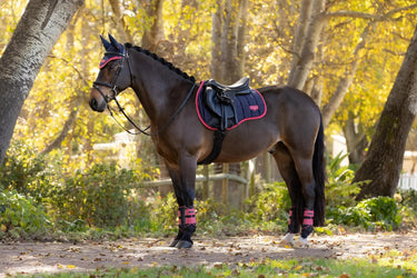 LeMieux Loire Classic GP Square Navy/Cranberry