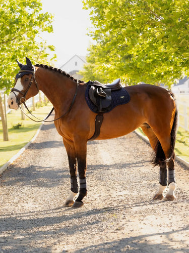 LeMieux Loire Classic GP Square Navy| Online For Equine