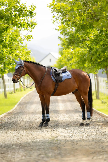 LeMieux Loire Classic GP Square Powder Blue| Online For Equine
