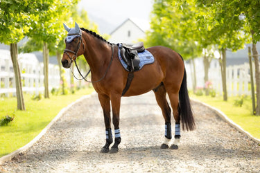 LeMieux Loire Classic GP Square Powder Blue| Online For Equine