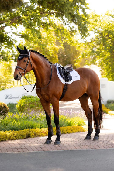 LeMieux Loire Classic GP Square White