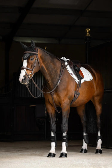 LeMieux Loire Close Contact Square White| Online For Equine