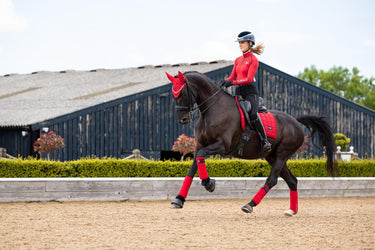 Buy LeMieux Loire Dressage Square Chilli - CHECK IMAGES | Online for Equine