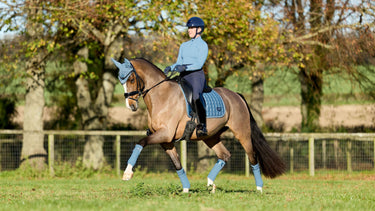 LeMieux Loire Dressage Square Ice Blue| Online For Equine