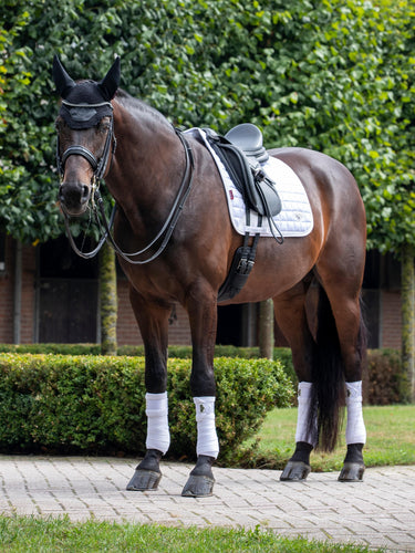 LeMieux Loire Dressage Square White| Online For Equine