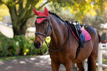 LeMieux Loire Fly Hood Cranberry| Online For Equine