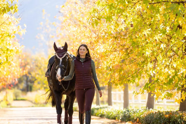 LeMieux Loire Fly Hood Damson| Online For Equine