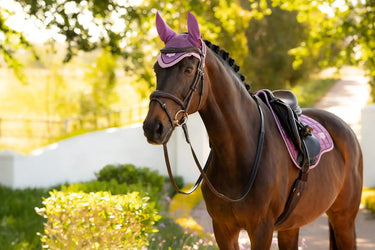 LeMieux Loire Fly Hood Mallow| Online For Equine