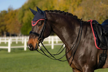 LeMieux Loire Fly Hood Navy/Cranberry| Online For Equine