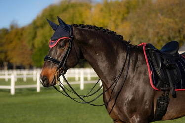 LeMieux Loire Fly Hood Navy/Cranberry| Online For Equine