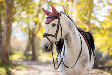 Buy LeMieux Loire Fly Hood Orchid - X Large| Online for Equine