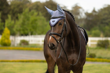 LeMieux Loire Fly Hood Powder Blue| Online For Equine