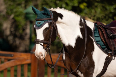 Buy LeMieux Loire Fly Hood Spruce-X Large-Spruce| Online for Equine