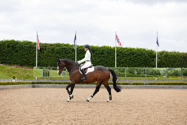 LeMieux Loire GP Square White| Online For Equine