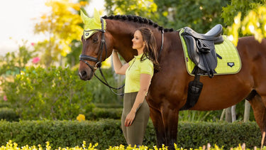 Buy LeMieux Loire Kiwi Dressage Square - Large| Online for Equine